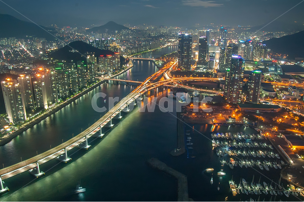 야경,도시,부산,풍경,자연,야경,밤,풍경,nightscape,night,landscape,도시,city,한국도시풍경,한국도시경관,korea cityscape,nature,경치,outdoors,옥외,scenery,building,건물,bridge,다리,aerial view,조감도