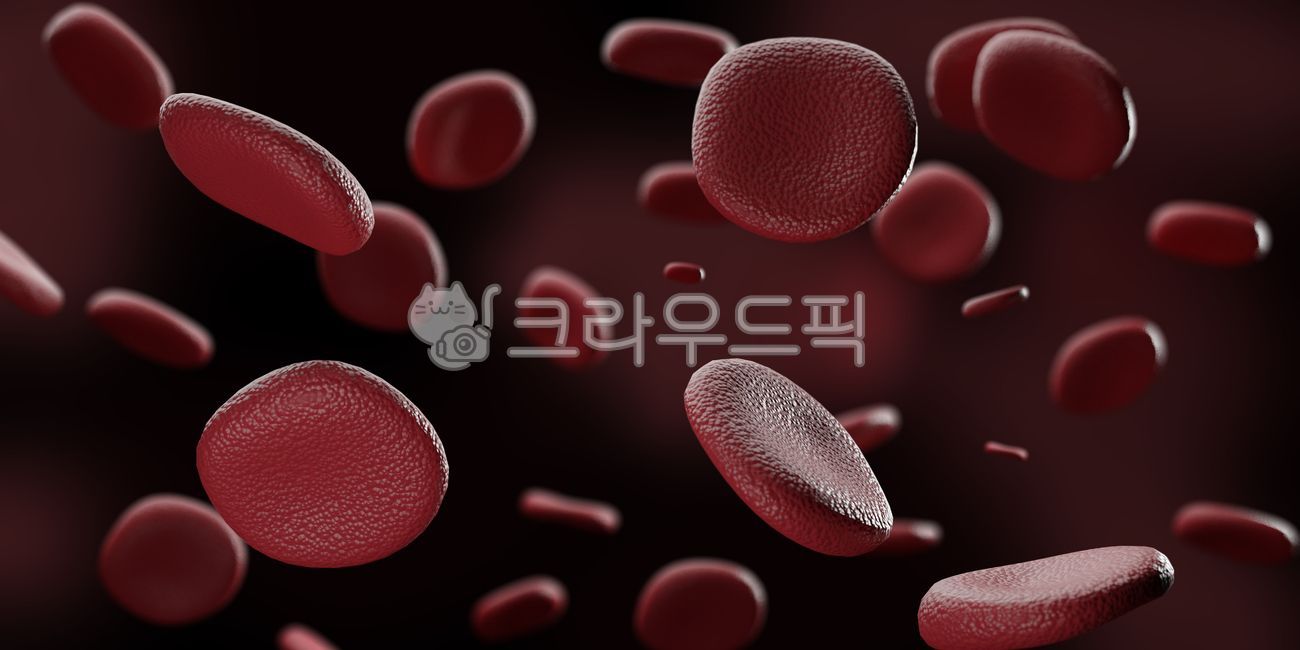 피, 핏줄, 혈액암, 혈류, 의학, 사진,이미지,일러스트,캘리그라피 - 청설작가