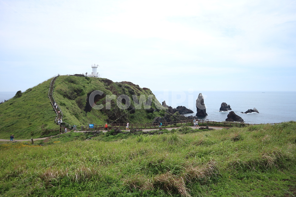 제주도,제주,섭지코지,제주도섭지코지,제주바다,제주관광지,섭지코지바다,자연,대자연,경치,풍경,바다,돌,현무암,초록색,한국자연풍경,한국자연경관,휴가,피톤치드,힐링,들판,하늘,구름,맑음,맑은날,해안길,산책로,산책,해안,jeju,jejodo,sea,nature,landscape,jejuisland,green,전망,korean