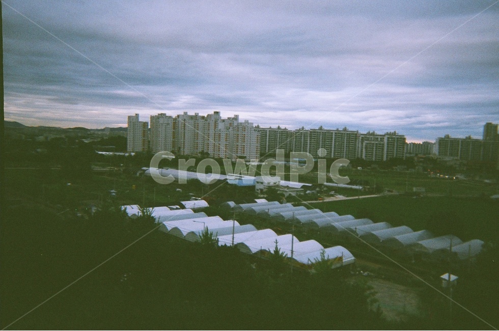아파트,비닐하우스,구름,하늘,필름사진,필름,도시,풍경,city,landscape,한국도시풍경,한국도시경관,korea cityscape,감성,sensible,feeling,nature,자연,urban,어반