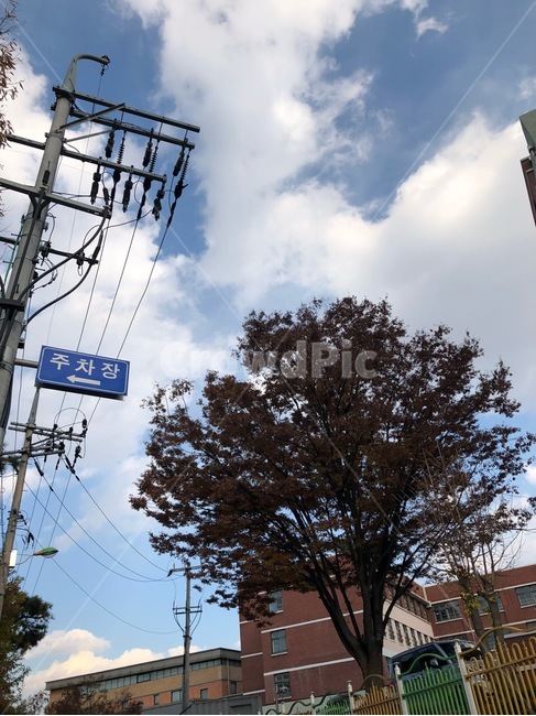 하늘,표지판,life,나무,한국,날씨