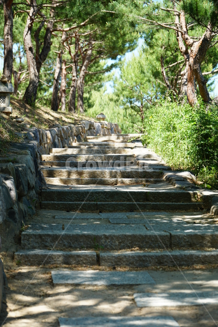 돌,돌계단,계단,등산,등산로,자연,숲,mountain,stairs,stonestep,stone,nature,forest