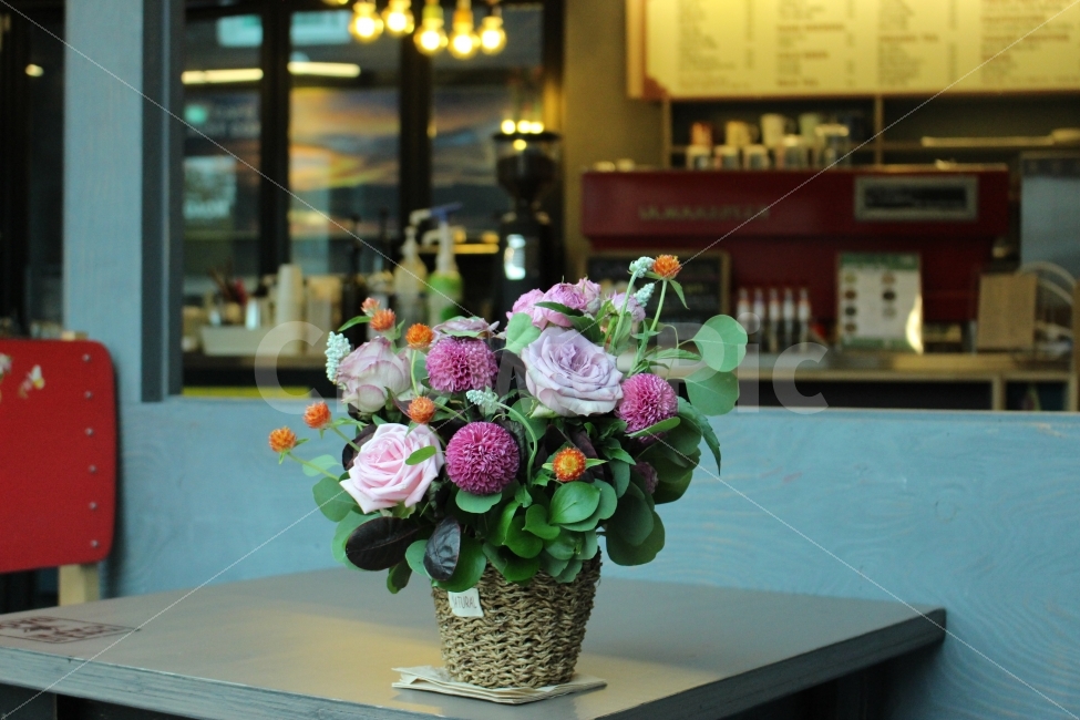 커피,카페,스페셜티,로스터리,인테리어,맛집,coffee,cafe,specialty,roastery,꽃,화분,식물,자연,plants,nature,인테리어,실내디자인,interior design,커피,카페,coffee,cafe,꽃,flower