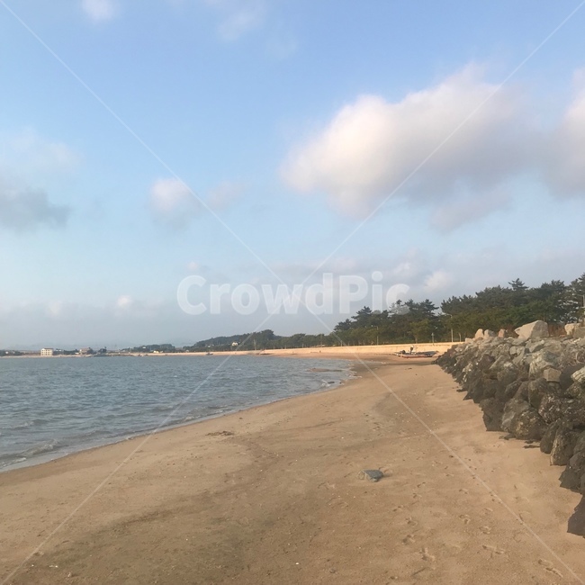 바닷가,모래사장,백사장,해변가,바다,모랫길,나무,맑은날씨