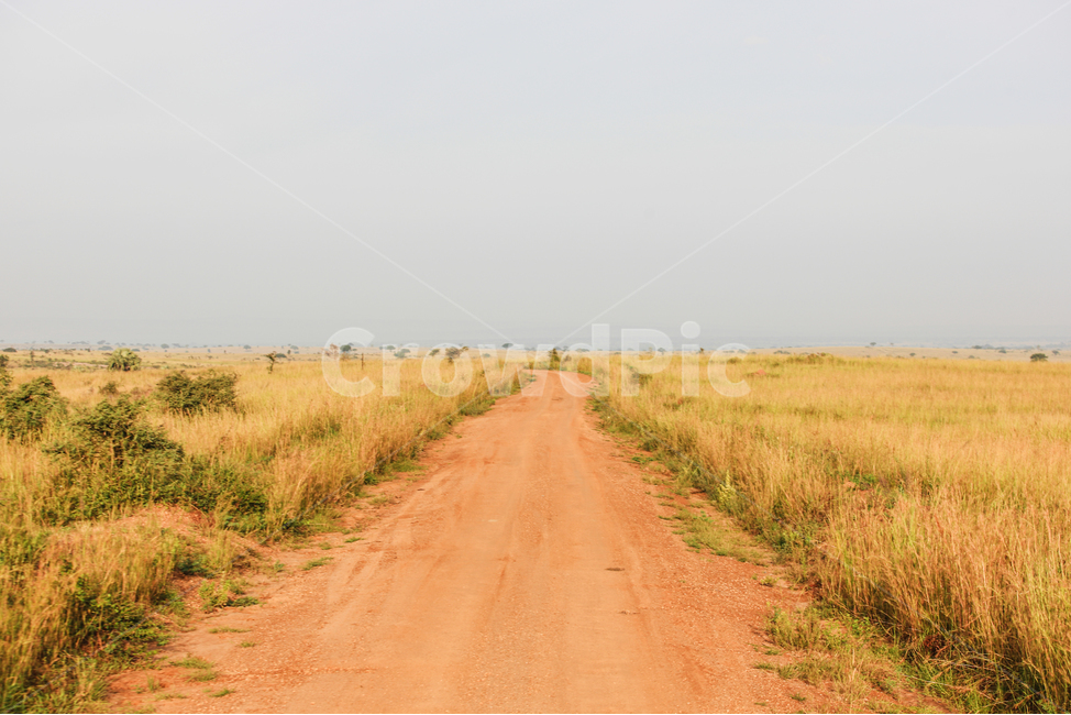 아프리카,우간다,길,풍경,여행,하늘,자연,자연,풍경,nature,landscape,해외,외국,세계,foreign,oversea,world,세계자연풍경,해외자연풍경,외국자연풍경,world nature landscape,grass,잔디,plant,식물,road,도로,outdoors,옥외