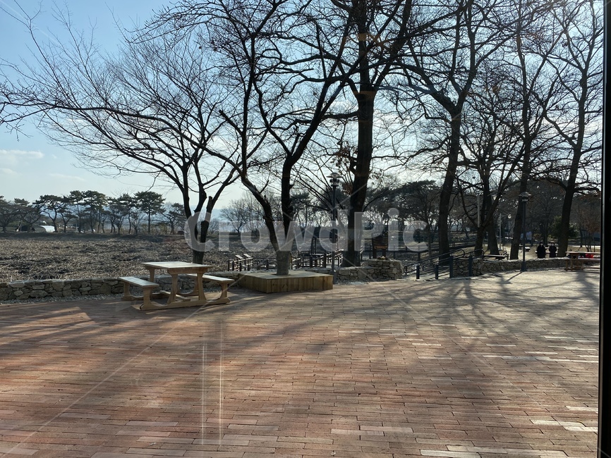 물,ground,연꽃,강주연못,로터스카페