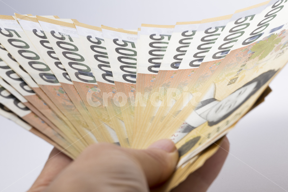 돈,머니,지폐,현금,한국은행,화폐,원,오만원,금융,돈,finance,banking,money