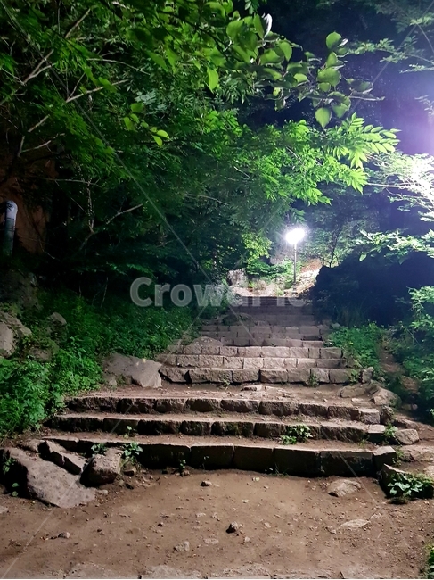 숲길,등산,숲속,등산로,계단,팔공산,방향