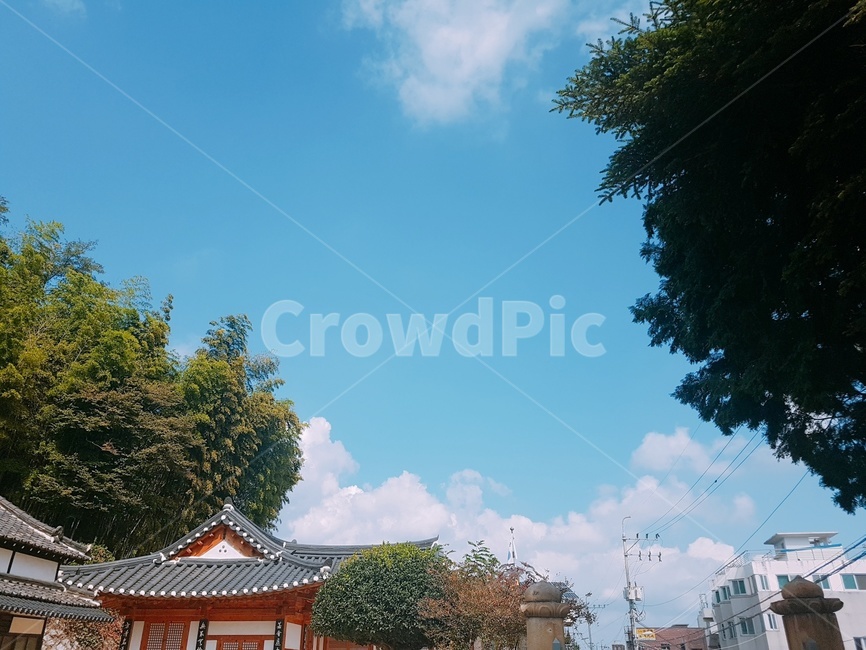 파란,하늘,구름,나뭇잎,절,한국전통,한국문화,korean traditional,korean culture,건축물,건물외관,exterior,building,structure,architecture,construction