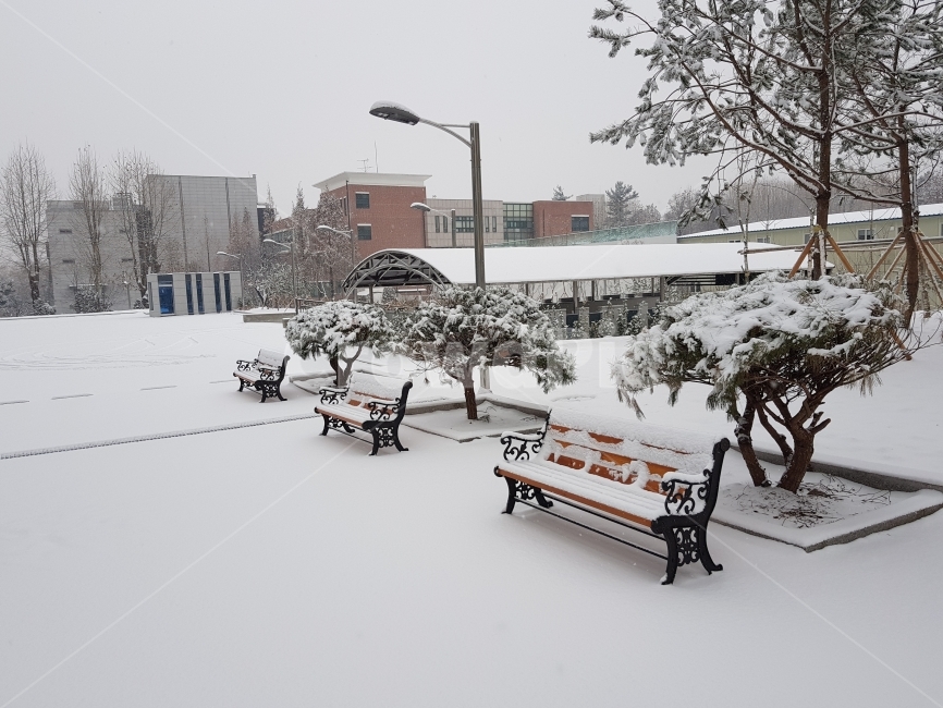 눈,의자,겨울,겨울풍경,사물,겨울,계절,winter,season