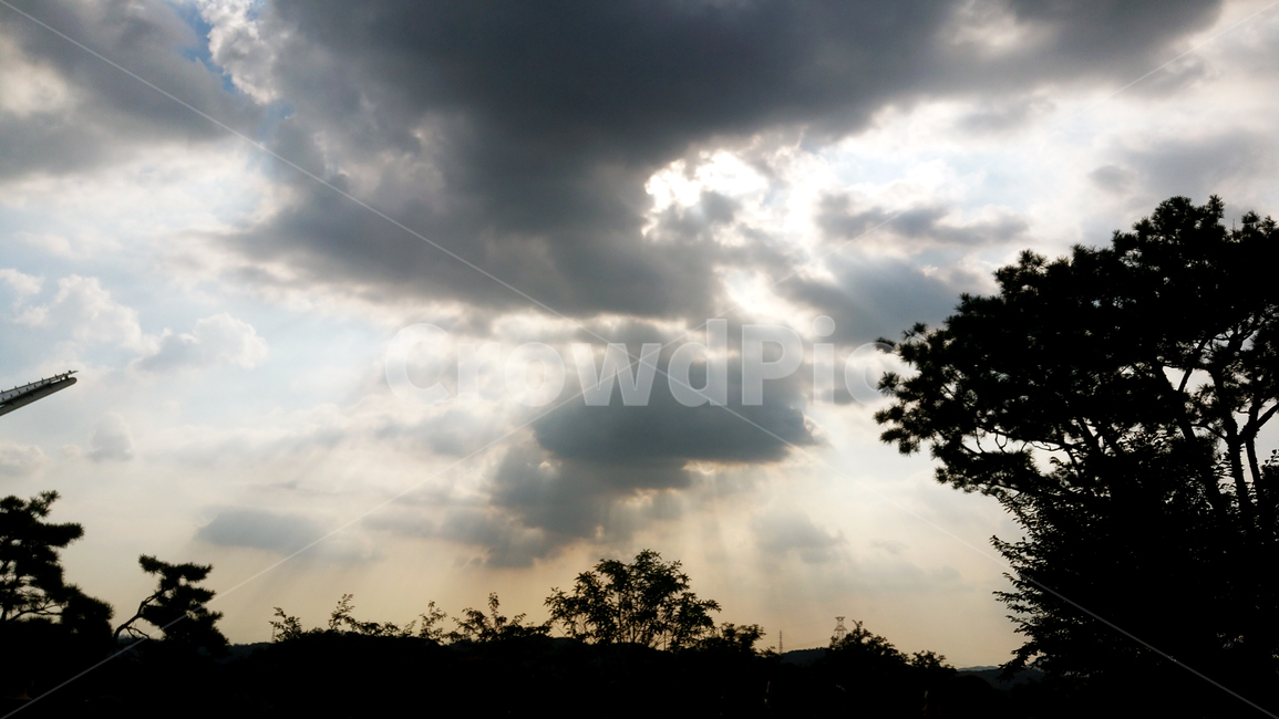 구름,하늘,나무,빛,저녁,해질녘,자연,풍경,환경,저녁하늘,cloud,sky,tree,sunlight,evening,nature,eveningsky,environment,자연,풍경,nature,landscape,weather,날씨,outdoors,옥외,cumulus,적운