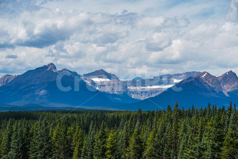자연,경관,풍경,산,로키산맥,rocky,mountain,nature,view,canada,캐나다,자연,풍경,nature,landscape,해외,외국,세계,foreign,oversea,world,세계자연풍경,해외자연풍경,외국자연풍경,world nature landscape,plant,식물,tree,나무,abies,아비,fir,전나무