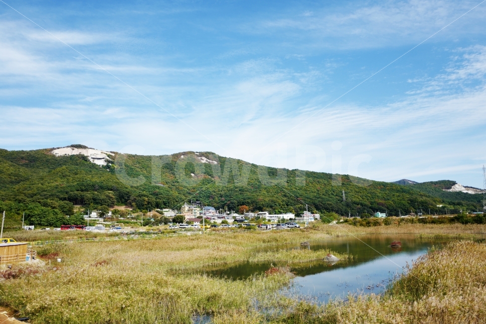시골풍경,가을,갈대,농촌,억새,마을,자연,풍경,nature,landscape,한국자연풍경,한국자연경관,korea nature landscape,시골,마을,country,rural,town,land,땅,outdoors,옥외,water,물