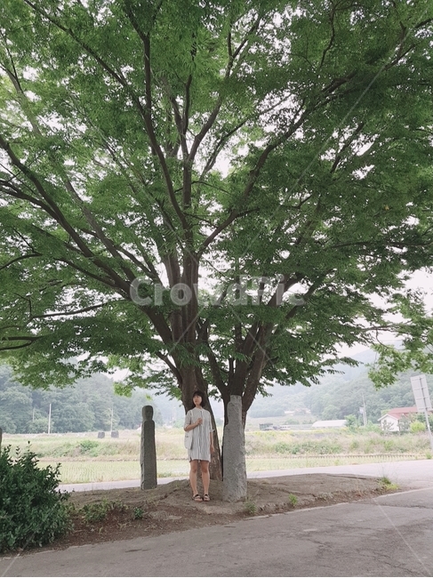 그늘,여자,woman,나무,여름,계절,country,summer,산책,시골,마을,tree,단발머리