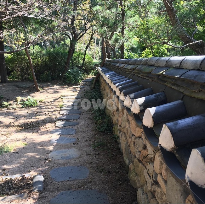 한옥집,한옥,돌담,전통가옥,자연과집,한국전통,한국문화,korean traditional,korean culture,건축물,건물외관,exterior,building,structure,architecture,construction