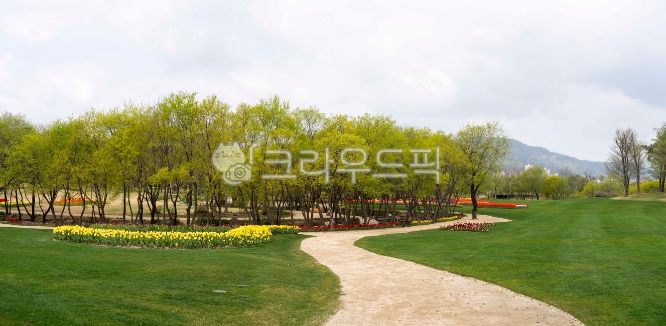 초원,필드,그린필드,잔디,잔디밭,나무,정원,정원수,하늘,산,연두색,새잎,새싹,나무줄기,파노라마,가로수,공원,꽃,꽃밭,튤립,튤립꽃,길,꽃길