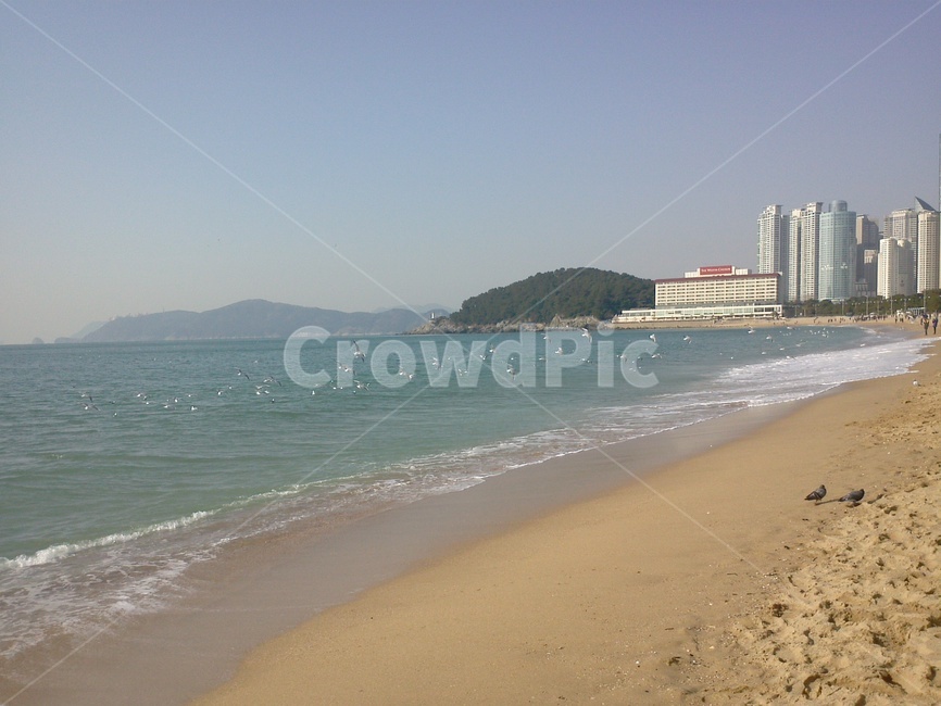 해변,파도,해안선,shoreline,nature,자연,도시,바다,sea