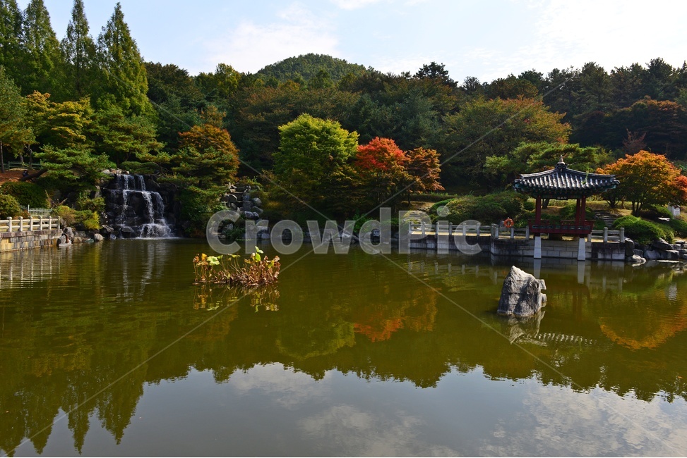 대전,국립대전현충원,현충원,현충지,연못,nature,자연,outdoors,옥외,leaf,잎,plant,식물,tree,나무,소풍,가을,계절,추색,추경,경치,경관,풍경,water,물,정자,현충지반영