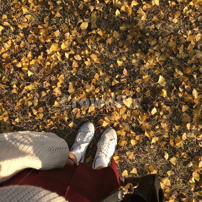 가을,fall,사람,여자사람,clothing,의류,apparel,의복,shoe,신발류,은행잎,노란색,감성,분위기,mood,가을,계절,fall,autumn,season