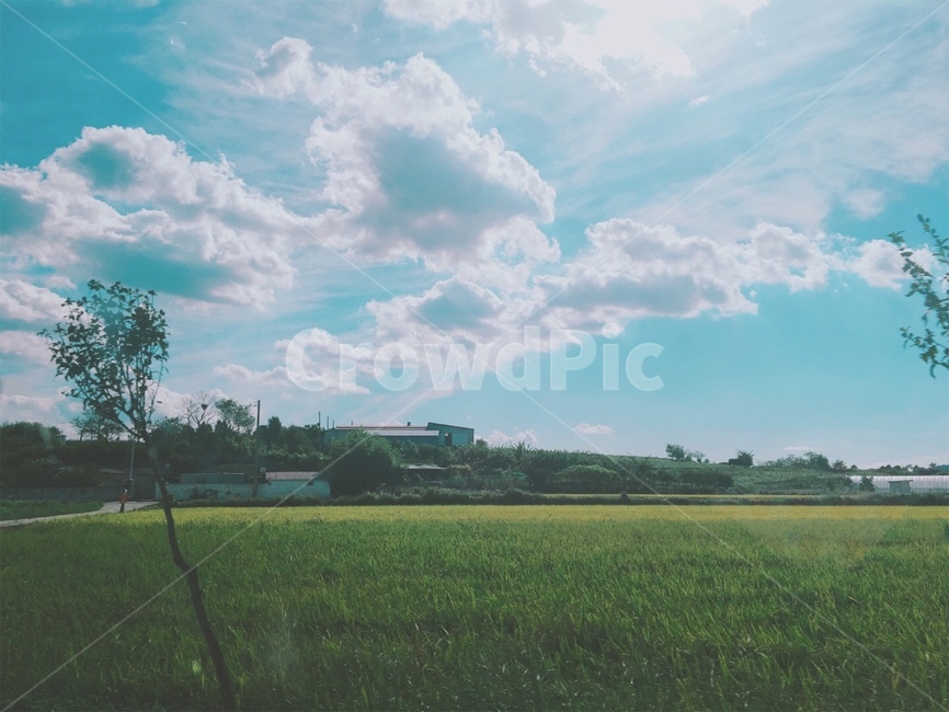 시골,들판,하늘,맑음,휴식,자연,풍경,nature,landscape,outdoors,옥외,field,들,grassland,목초지