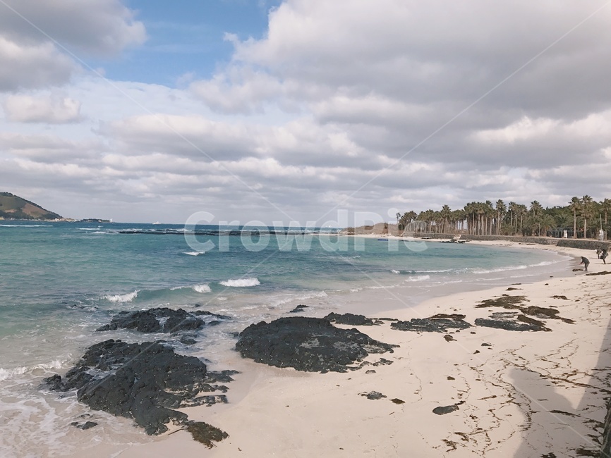 바다,제주도바다,풍경,자연,해변,청량한,landscape,제주도,파도,휴가