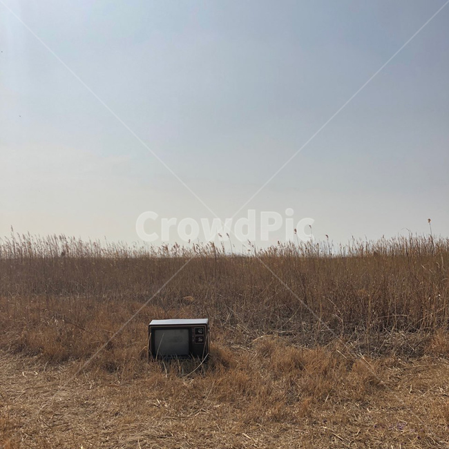 갈대,갈대숲,티비,감성,옛날티비,옛날감성