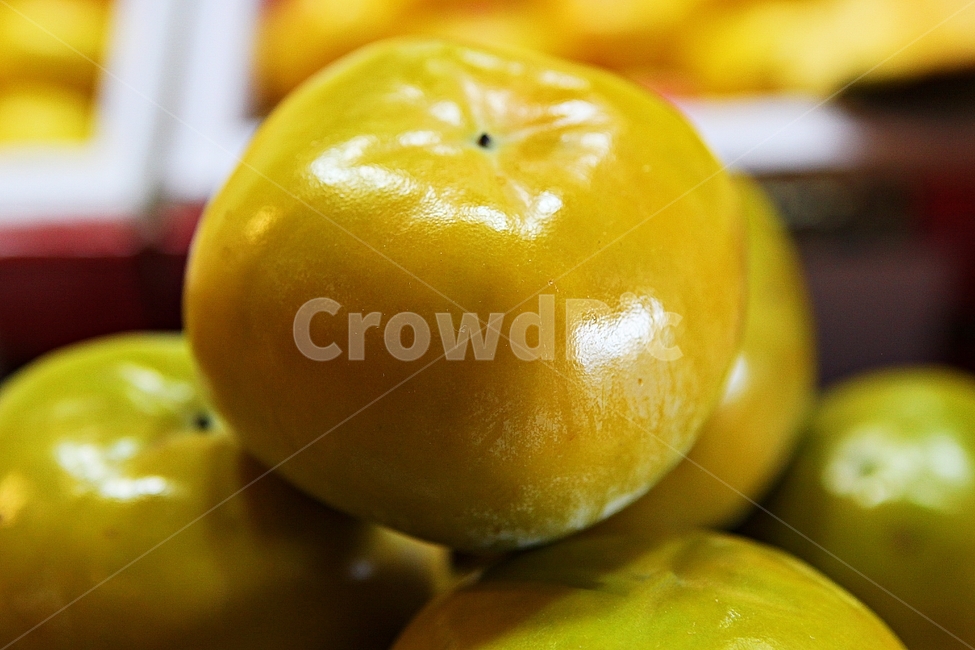 단감,감,노랑,과실,과일,먹거리,음식,요리,식재료,과일,열매,fruit
