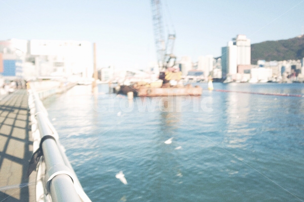 감성사진,초점,부산,바다,자갈치,겨울,emotion,focus,busan,sea,winter,산업,industry,industrial,어업,fishery,fishing industry