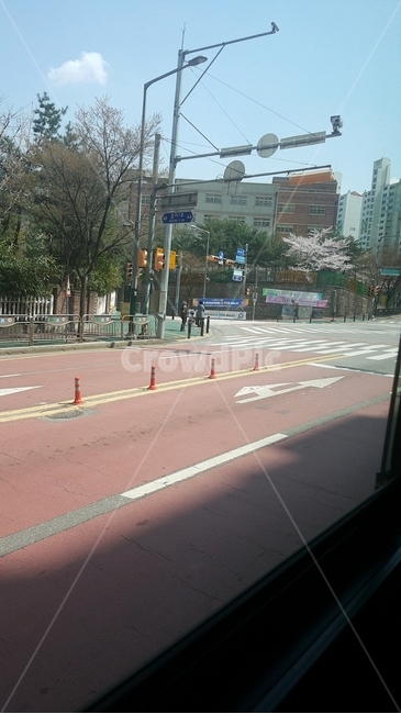 버스,도로,봄풍경,신호등,하늘,도시,가로등,가로수