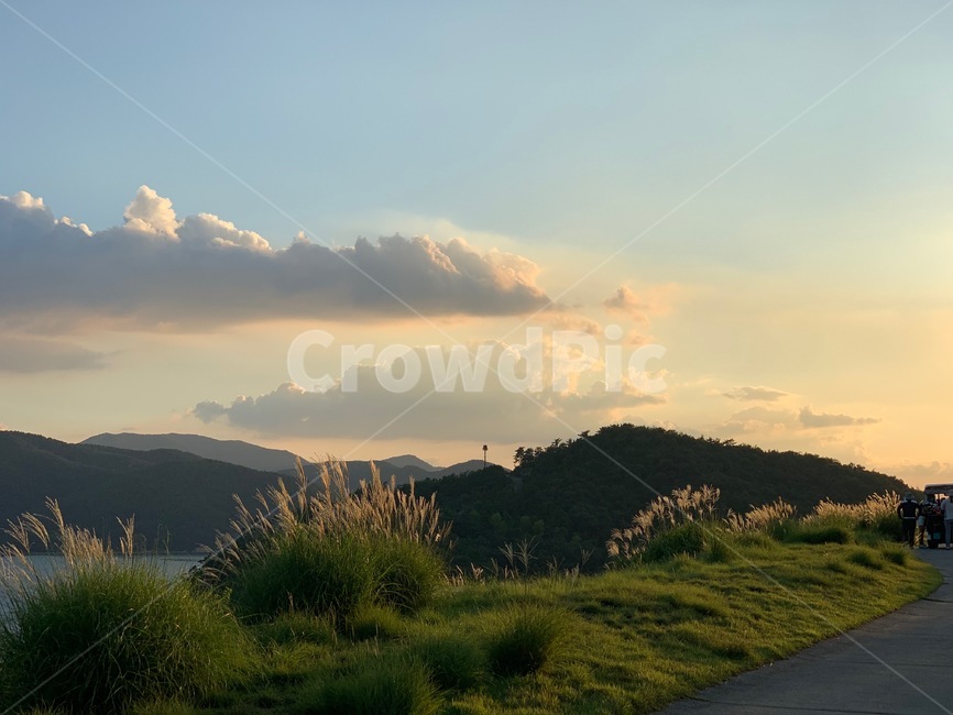 nature,자연,outdoors,옥외,갈대,구름,하늘,산,자연,풍경,nature,landscape