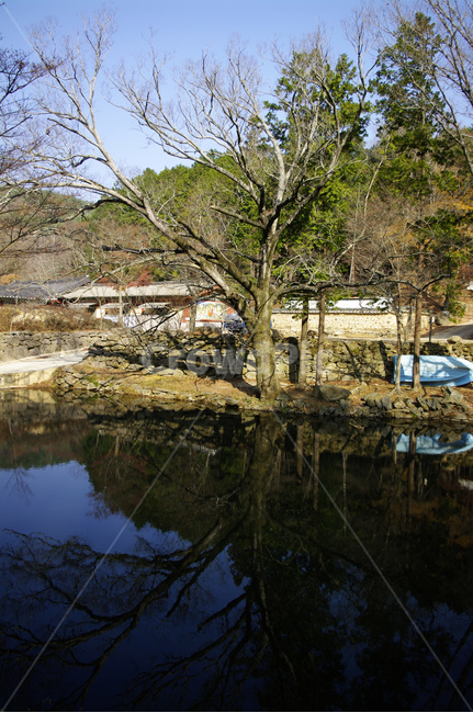 연못,겨울,나무,풍경,반영,겨울,계절,winter,season,식물,자연,plants,nature,나무,trees,wood