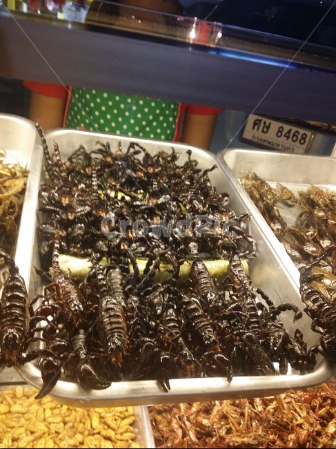 전갈튀김,태국,미얀마,전갈,튀김,음식,식재료,요리,food,cook,meal,dishes,food reserves