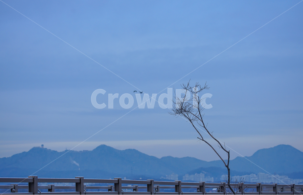 겨울,나무,산,다리,하늘,풍경,자연,계절,감성,자연,풍경,nature,landscape