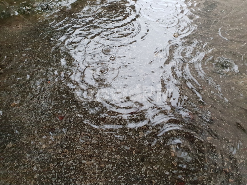 빗방울,물,빗물,패턴,배경,날씨,감정,비오는날,rain,raindrops,background,weather,pattern,비,비오는날,rain,rainy