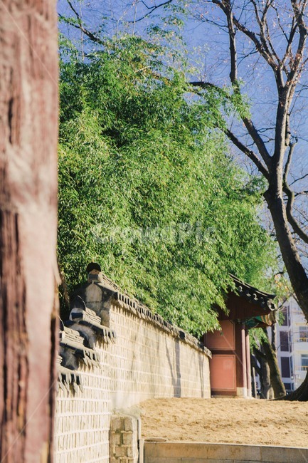 대나무,전주,한옥마을,전통,traditional,bamboo,한국전통,한국문화,korean traditional,korean culture,건축물,건물외관,exterior,building,structure,architecture,construction