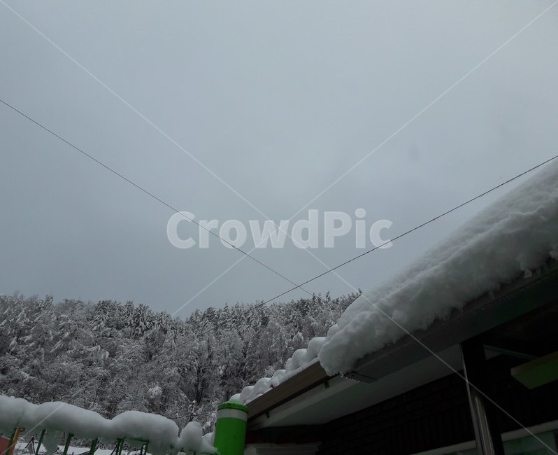 눈,겨울,눈꽃,설산,풍경,지붕,눈덮인지붕,겨울산,겨울나무