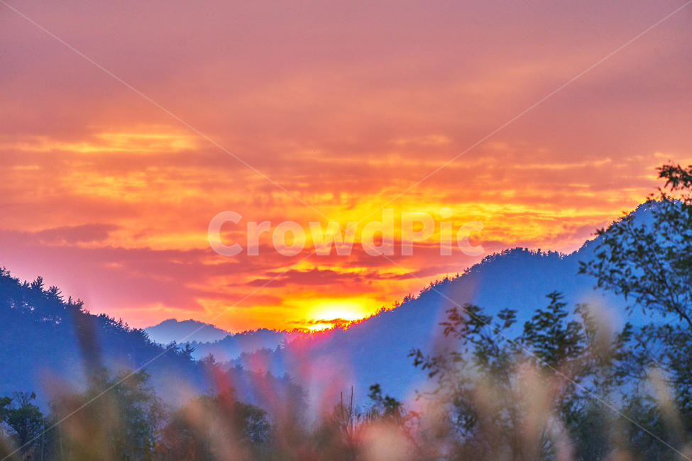 순천만습지,갈대,가을,자연,풍경,순천,순천만,갈대밭,산,일몰,태양,석양,자연,풍경,nature,landscape,한국자연풍경,한국자연경관,korea nature landscape,outdoors,옥외,red sky,붉은 하늘,dawn,새벽,dusk,황혼,sunset,sky,하늘,mountain,mountain range,산맥