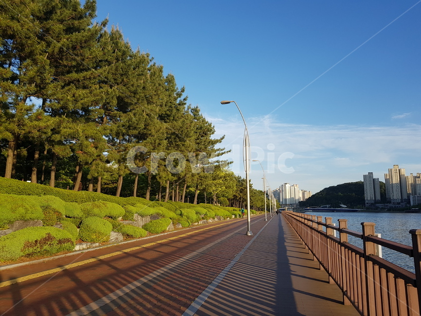 해운대공원,나루공원,수영강변,부산공원,산책로,apec,조깅,가로등,풍경,공원,아침운동,나무,강