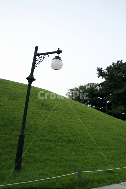 나무,공원,하늘,초록,여름,잔디,가로등,자연,풍경,nature,landscape,outdoors,옥외,grassland,목초지,field,들