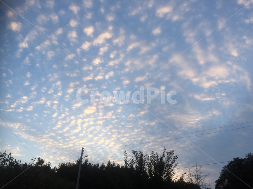 하늘,필름카메라,풍경,배경,감성,자연,풍경,nature,landscape,outdoors,옥외,sky