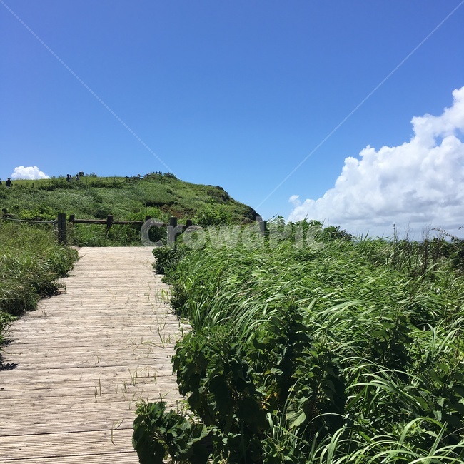 여름,풍경,하늘,자연,나무,풀,옥외,outdoors,등산,자연,풍경,nature,landscape