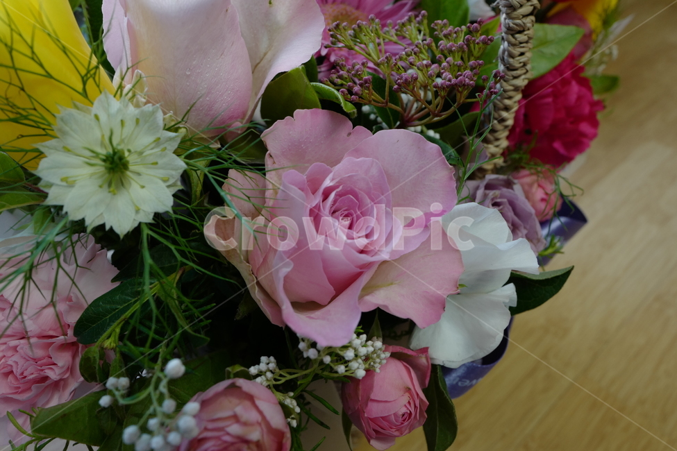 꽃,플라워,flower,flowers,꽃바구니,꽃,flower,기념일,축하,anniversary,congratulation,celebrate,celebration