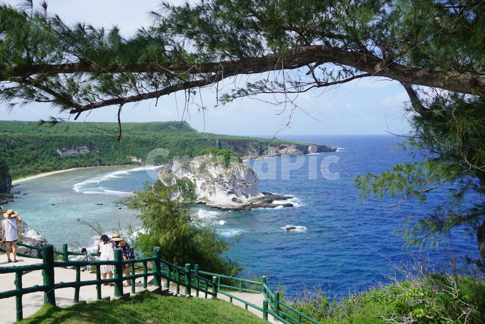 바다,섬,사이판,saipan,island,버드아일랜드,birdisland,침엽수,나무,울타리