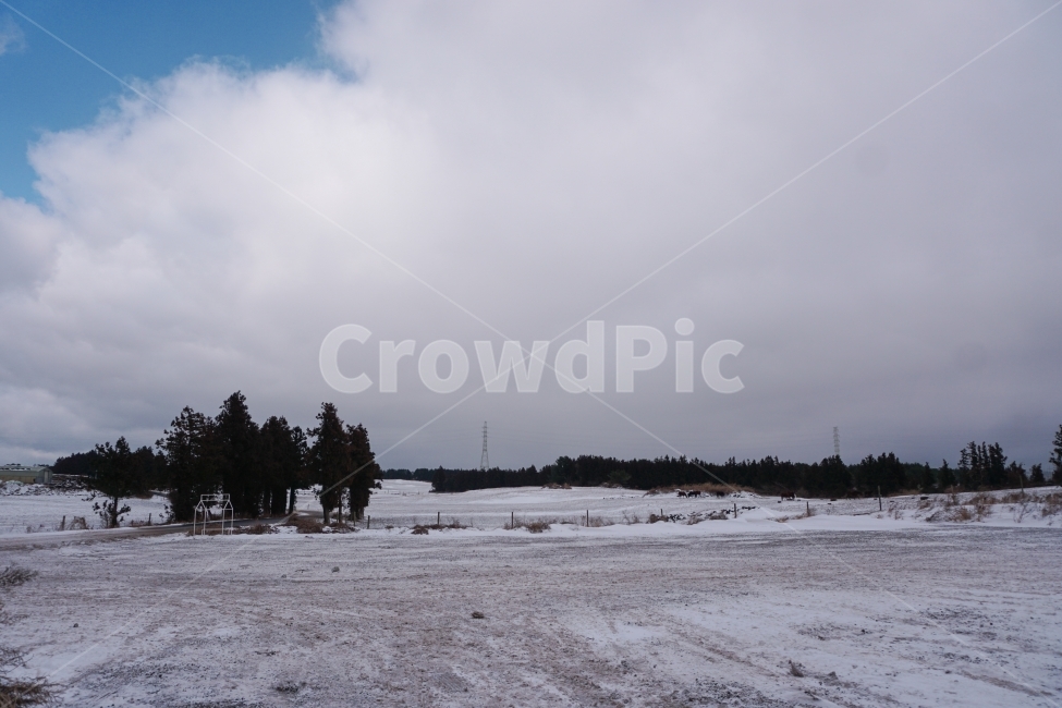 눈,나무,겨울,자연사진,하늘,겨울,계절,winter,season,자연,풍경,nature,landscape,outdoors,옥외