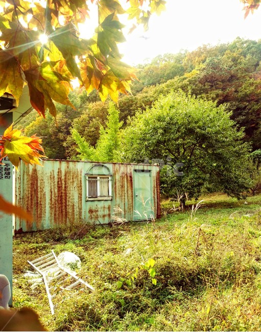 컨테이너,컨테이너박스,별장,숲속,낡음,container,오래된,낡은,고립,고립된,가을