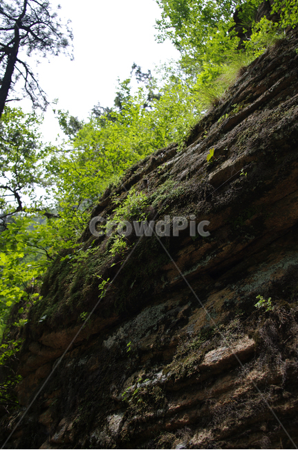 산,바위,나무,설악산,식물,자연,풍경,nature,landscape,outdoors,옥외,tree,plant