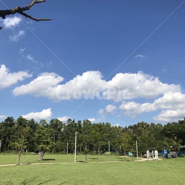 잔디,grass,outdoors,옥외,식물,plant,cumulus,적운,sky,하늘,weather,날씨,cloud,nature,자연