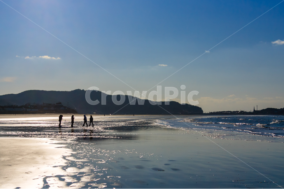 서해,바다,바닷가,모래,수평선,자연,풍경,nature,landscape,해변,바다,beach,sea,사람들,대중,군중,other people,crowd,인물실루엣,사람실루엣,character silhouette,human silhouette,human,인간,person,사람