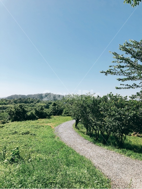 초원,돌길,하늘,나무,꼬부랑길,자연,풍경,nature,landscape,gravel,자갈,road,도로,dirt road,흙길,outdoors,옥외