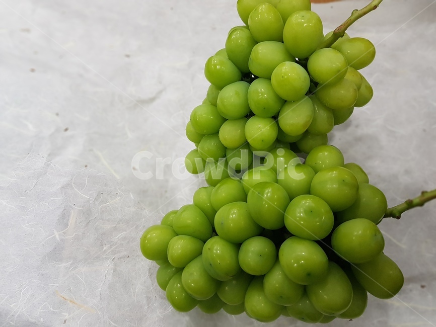 포도,grapes,fruit,과일,청포도,샤인머스캣,샤인머스켓,샤인마스캇,망고포도